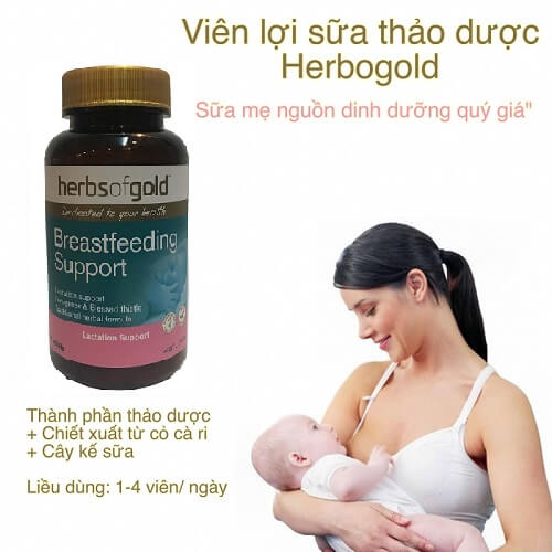 Viên uống lợi sữa Herbs Of Gold bổ sung dưỡng chất cho mẹ giúp bé luôn đươc nhận nguồn vitamin, khoáng chất đầy đủ nhất